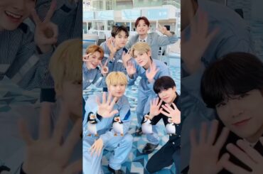 🐧🐧 ... 🐬🐥🦖🐯🐵🐱 #DXTEEN #大久保波留 #田中笑太郎 #谷口太一 #寺尾香信 #平本健 #福田歩汰 @DXTEEN