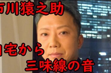 【猿之助】【三味線】【海老蔵改め市川團十郎白猿】市川猿之助　自宅からは三味線の音
