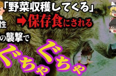 【ゆっくり解説】登山中に頭上から熊が飛んでくる⁉熊の保存食にされた惨劇「全国の熊害被害～東日本編」