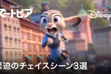 緊迫のチェイスシーン3選｜『ズートピア』『ライオン・キング(2019)』『トイ・ストーリー4』｜Disney+ (ディズニープラス）