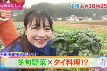 あらあらかし12月16日(土)O.A.予告