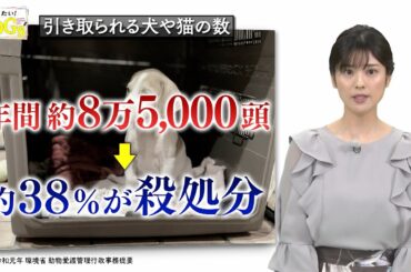 知りたい！SDGs #110 |2021年11月4日放送