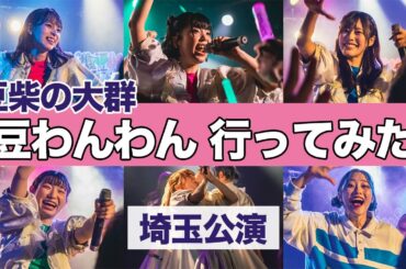 豆柴の大群「感謝感激豆わんわん」行ってみた（2023.12.16, 埼玉県 西川口Hearts）アイカザスパイ