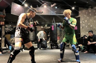 平本蓮とMMA練習してみた