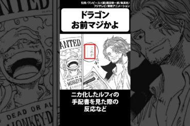 1101話でルフィの父ドラゴンのとある事実が判明→衝撃的な考察が浮上【ワンピース】 #Shorts