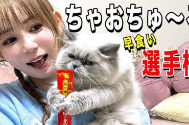 【保護猫】ちゃおちゅ〜る早食い選手権やってみました！