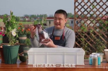 有木有花养花小知识老视频合集02#养花小知识 #养花 #盆栽绿植 #园艺 #植物