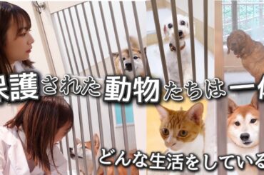 神奈川動物愛護センターへ訪問させていただきました