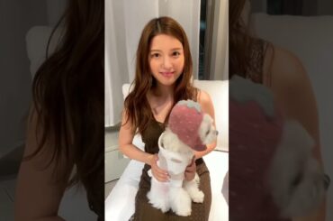 川島海荷 所属事務所との契約終了