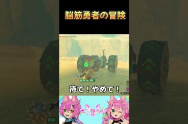 踏んだり蹴ったり運んだり【七々瀬ナオ】#shorts