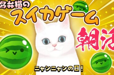 【🔴 #朝活配信 311日目】 #スイカゲーム / 雑談 縦型配信！📱　スイカつくりたいぞー！ 【 博多弁猫Vtuber 】 Suika Game　#shorts