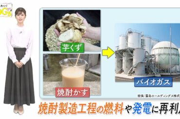 知りたい！SDGs #132 |2022年4月7日放送