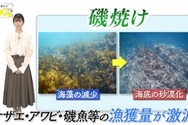 知りたい！SDGs #139 |2022年5月26日放送