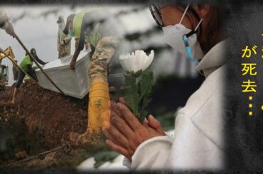 長澤まさみの余命を告げられてからの壮絶な闘病生活…晩年に言い放った最後の言葉に涙が溢れた…