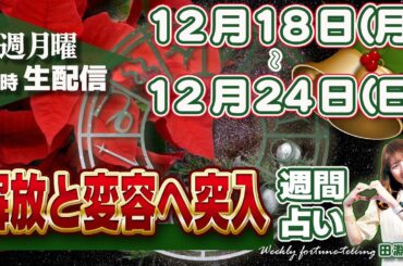 【週間占い】12月18日(月)〜24日(日) 太陽山羊座入り、冬至✨自分の魂の役割を現実化するエネルギー！水星逆行、ついに射手座へ戻る　解放と変容