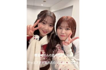 日向坂46 櫻坂46 富田鈴花 武元唯衣 村井優 ちゅけさんと食事の約束をしたすーじー 推しのゆうちゃんと会う 三期生 ミュージックステーション