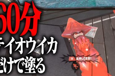 60分あればテイオウイカの塗りだけで全部の床は塗れるのか？【スプラトゥーン3】