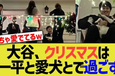 大谷翔平、クリスマスを一平やワンちゃんと過ごしていたｗｗｗ【なんｊプロ野球反応】