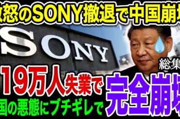 【総集編】中国のありえない嫌がらせにSONYブチギレ！SONYの撤退で中国大量失業！