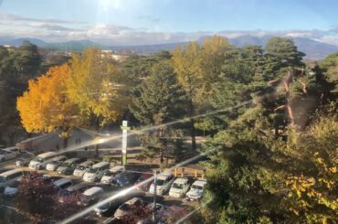 #華蔵寺公園🎡#観覧車　⑧　黄金イチョウ✨🎄🎅#堀優衣📚#加藤礼愛🎤#いちみる🍓#鷹宮玲亜🚔#安土姫華🍓#ジャンキス💋#山田莉愛🐼#鈴木陽依梨🐣#宝寿柚花💎#miyabi 🐼#熊之細陽葵🐻#あかぎ団🌸