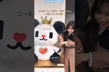 日向坂46 富田鈴花 本日12月19日25:56〜テレビ朝日『妄想ハナコ』に出演いたします♪