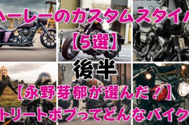 ハーレーのカスタムスタイル【5選】→【永野芽郁が選んだ！】ハーレーストリートボブってどんなバイク？