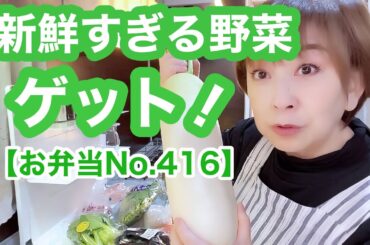 野菜種類たっぷりな野菜炒めぇ〜作ります【お弁当No.416】