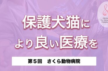 【第5回】保護犬猫により良い医療を #さくら動物病院 〜保護犬猫支援基金 協力動物病院紹介〜