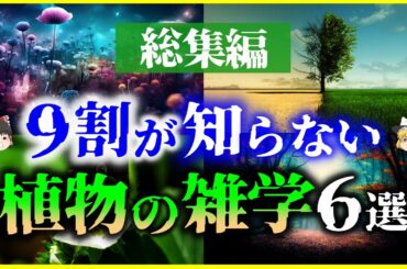 【総集編】9割の人が知らない「植物の雑学」6選を解説/繁殖力の強い植物で砂漠を…？、悪魔の植物じゃがいも、他【作業用】【睡眠用】【ゆっくり解説】