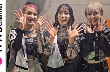 Lifesta、初の大型ステージでの感想を笑顔で語る！＜ARTISTS LEAGUE Presents... MUSIC TRIBE＞