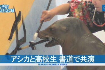 アシカと高校生 書道で共演
