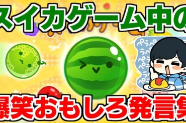 【激喋りお兄さん】俺のスイカゲーム中の発言が面白すぎるwwwww【本領発揮】