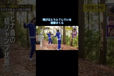 飛び立とうと？している遠藤さくらが可愛い｜乃木坂46 遠藤さくら 賀喜遥香 #shorts