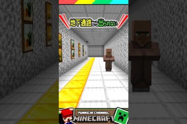 地下通路から出られない...。 #マイクラ #マインクラフト #Minecraft #まいくら #クイズ #ゲーム #Shorts