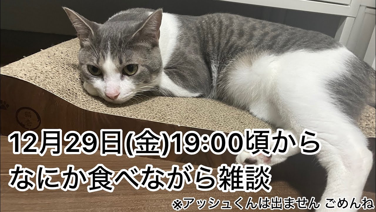 【第12回生配信】なにか食べながら雑談【佐々木琴子】 【第12回生配信】なにか食べながら雑談【佐々木琴子】