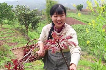 【春日回憶】春日大家都「咬春」野樹芽當野菜賣，聽說城裡能賣到100多元一斤，立刻賣進城【燕麥行遊】