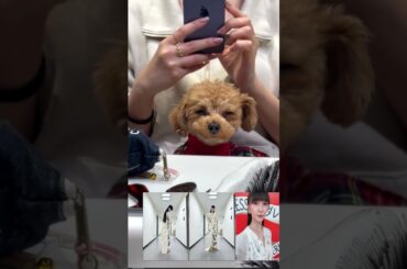 2023年12月29日 かしゆかさんインスタグラム投稿