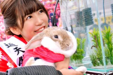 【密着】一年に一度のお仕事についていったら衝撃の事実が、、