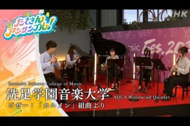 洗足学園音楽大学 AQUA Woodwind Quintet/ビゼー：「カルメン」組曲より アーカイブ配信中！NHKクラシック（NABE公式）