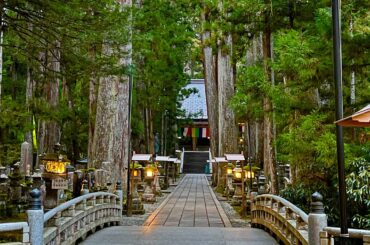 2023年最後の緊急ライブ⚠️もし見逃したら2度とありません。今までの悩みが全て解消されて幸せな2024年に良い事が次々と起こり始めます高野山奥の院オンライン遠隔参拝