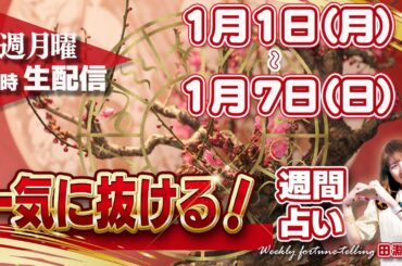 【週間占い】1月1(月)〜7日(日)火星が山羊座へ移動！エグザルテーションとは？新年のスタートはどうなる？水星が順行へ、約3週間ぶりのスッキリ感。
