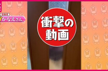 【投稿動画】扉の向こうにオバケが…『every.特集』