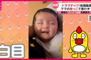 【投稿動画】ママの抱っこが気持ち良すぎて…『every.特集』