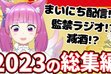 2023年にあやぱんに起きた出来事を振り返る #vtuber #REALITY