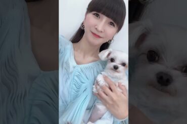 2024年1月1日 Perfume かしゆかさん インスタグラム投稿・他  2023→2024 I wish you a Happy New Year  あけましておめでとうございます
