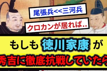 もしも徳川家康が秀吉に徹底抗戦していたら【戦国ch】【なんj】【5ch】【2ch】まとめスレ