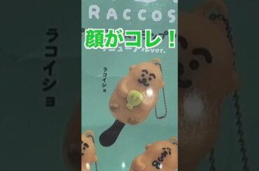 今年初ガチャガチャ！【#ゆずてん】#ラッコズ #raccos #ガチャ #ガチャガチャ #gacha #gashapon #ガシャポン #2024 #newyear #newyear2024