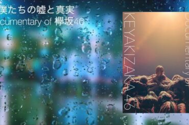 【映画レビュー】欅坂46とは何だったのか？映画「僕たちの嘘と真実 Documentary of 欅坂46」【ヒキガネ霜田と山内黒猫】【雑談#032】