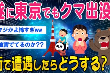 【2ch時事スレ】【悲報】遂に東京でもクマ出没が確認される…【ゆっくり解説】