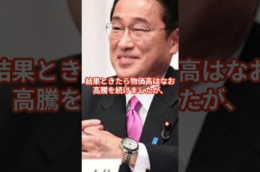 岸田文雄さん、あなたの一年間を振り返ります #shorts  #岸田文雄 #バラマキくそメガネ
